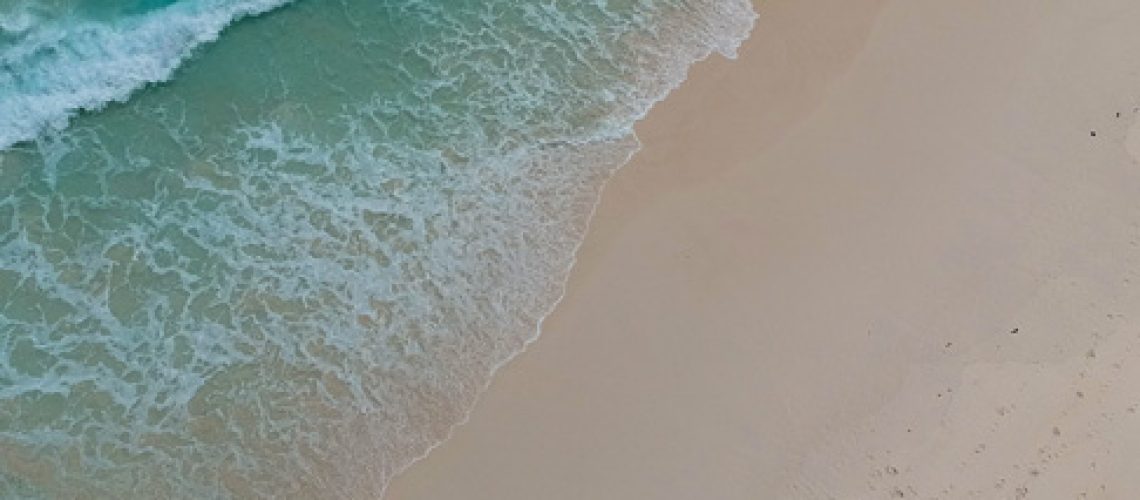 alin-meceanu-VlWkZQenQ9U-unsplash